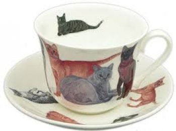 Porcelaine anglaise chat